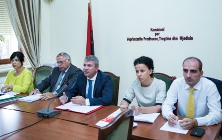 Projektligji per gazin natyror, do te rregullohet tregu i bombulave te gazit